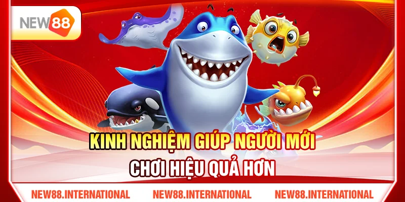 Hướng Dẫn Chơi Bắn Cá New88 Hiệu Quả Cho Người Mới 4 Kinh Nghiệm Giúp Người Mới Chơi Hiệu Quả Hơn